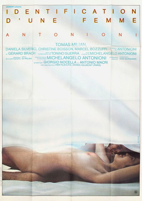 Identification of a Woman poster