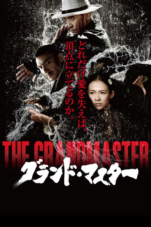 The Grandmaster poster