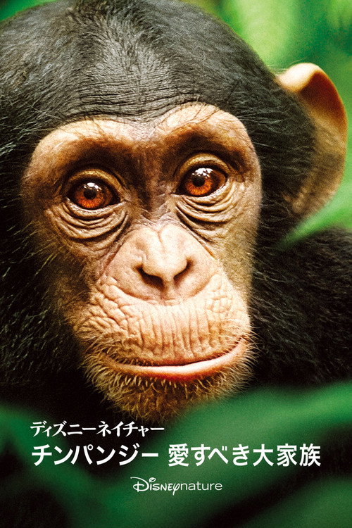 ディズニーネイチャー　サルの王国とその掟