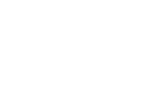 Bad Boys