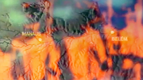 A conquista da floresta