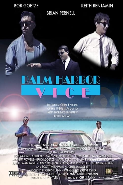 Palm Harbor Vice 1991