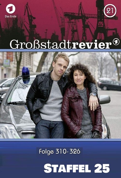 Where to stream Großstadtrevier Season 25