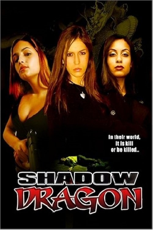 Shadow Dragon (2005) poster