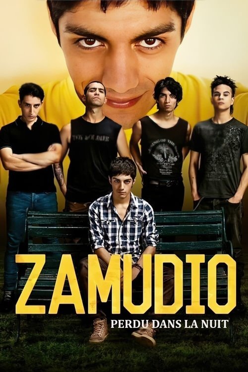 Zamudio : Perdu dans la nuit (2015)