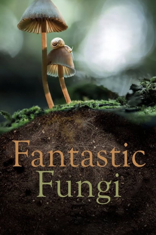 Fantastic Fungi 2019