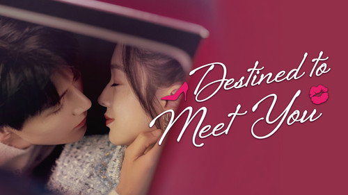 Destined to Meet You