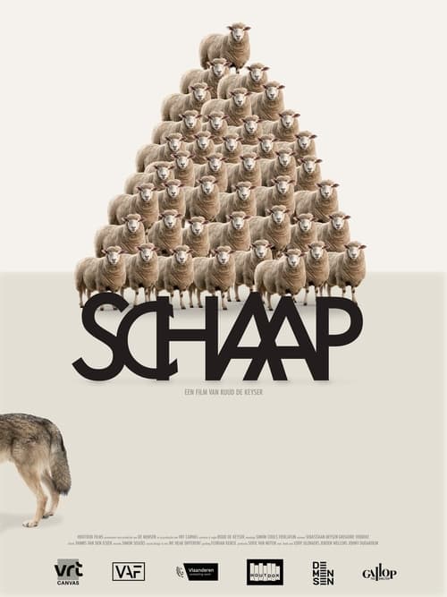Poster Schaap 