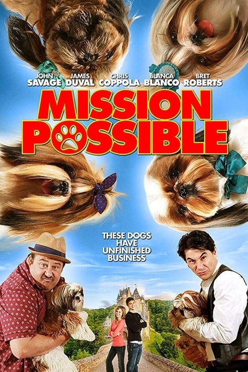 Mission Possible (2018) poster