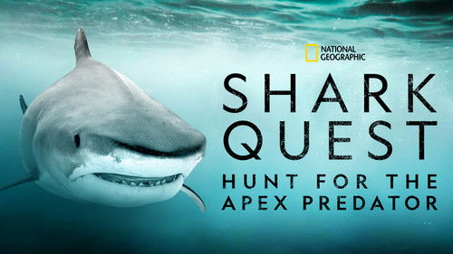 Shark Quest: Hunt For The Apex Predator