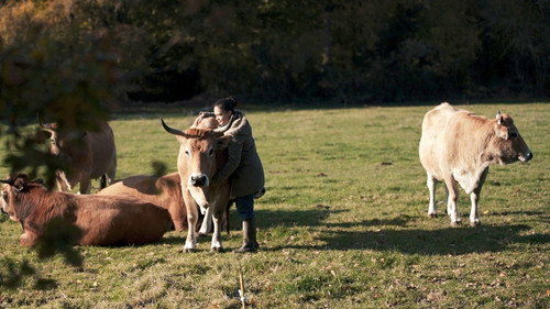 Production Line Animals
