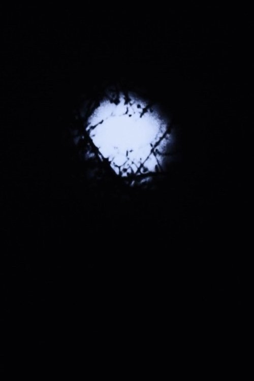 Night Awakening