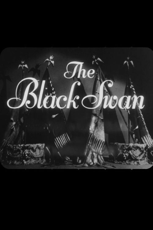 The Black Swan