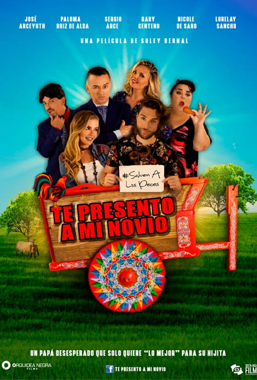 Te presento a mi novio Movie Poster Image