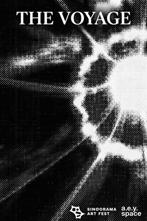 The Voyage poster