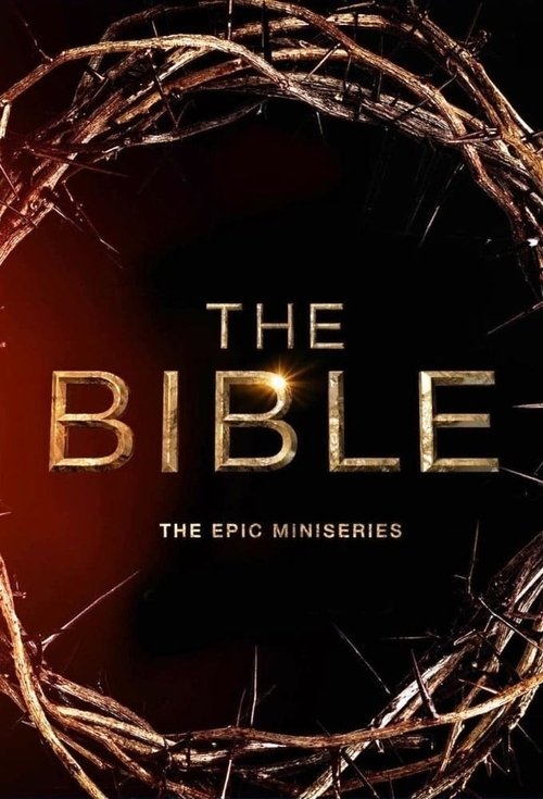 The Bible cover