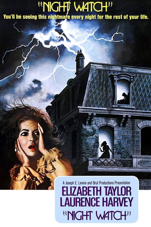 Night Watch poster