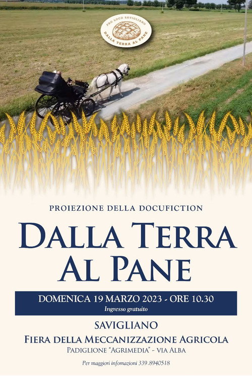 Dalla terra al pane