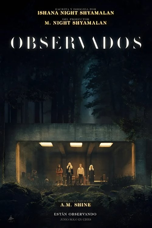 Posters