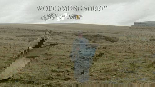 Wolf Among Sheep