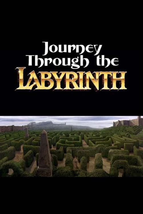 Poster Journey Through the Labyrinth 2007