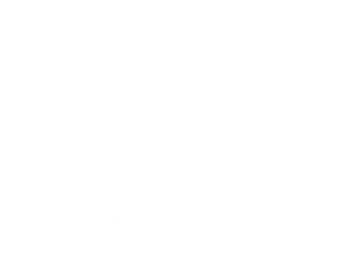 The Case of the Curious Bride