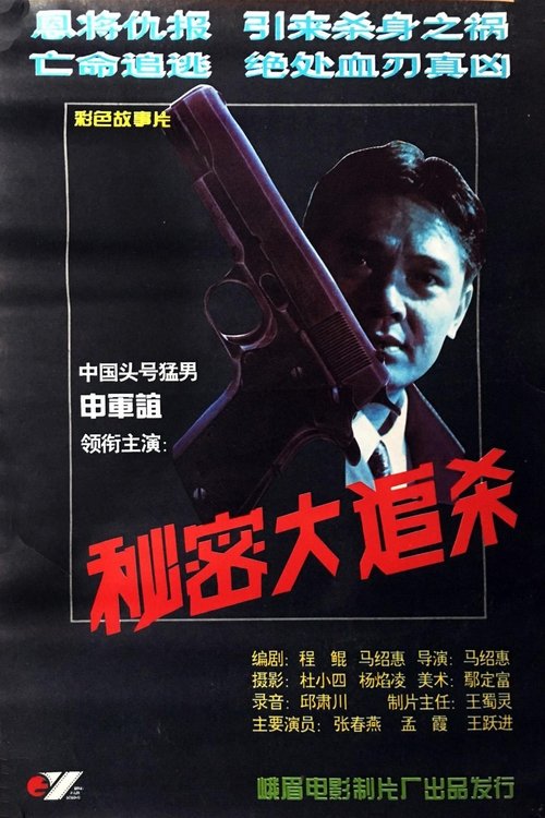 秘密大追杀 (1995) poster