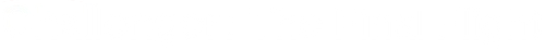 Challenger: The Final Flight Logo