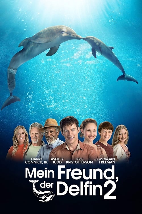 Dolphin Tale 2