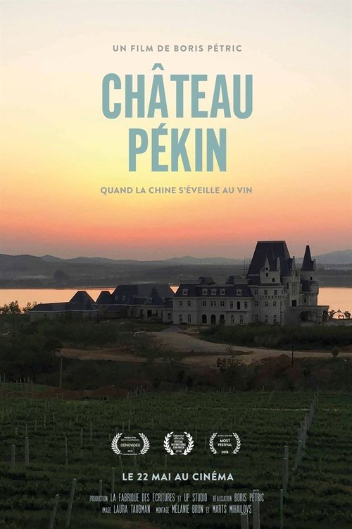 Château Pékin movie poster player