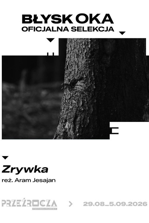 Zrywka
