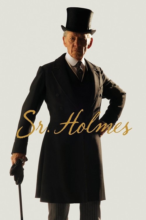 Pôster de Sr. Sherlock Holmes
