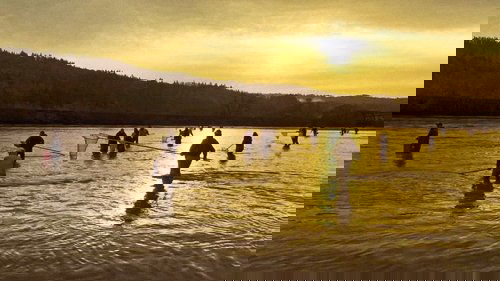 Image de l'épisode 5