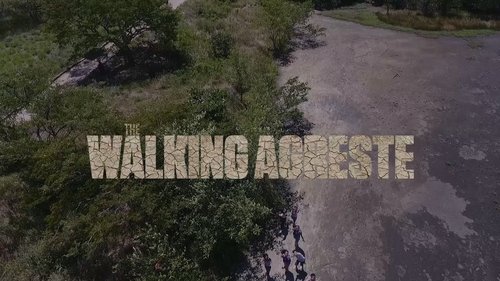 Image de l'épisode 1