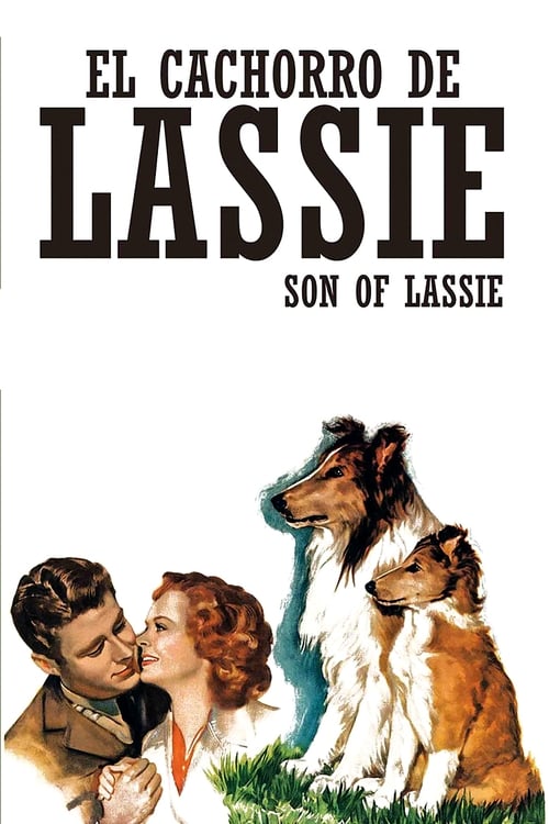 El cachorro de Lassie 1945
