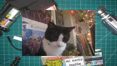 Dimwit Episode Nine Backdrop Blur