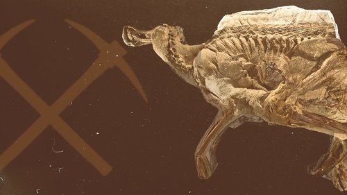 Secrets of the Dinosaur Mummy Secrets of the Dinosaur Mummy