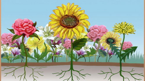 Image de l'épisode Épisode 12