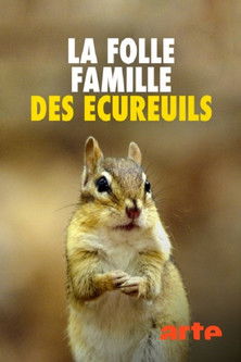 La folle famille des écureuils movie poster player