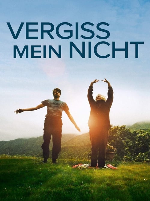 Vergiss mein nicht (2013) poster