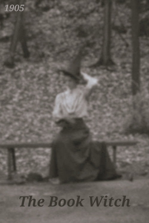 The Book Witch