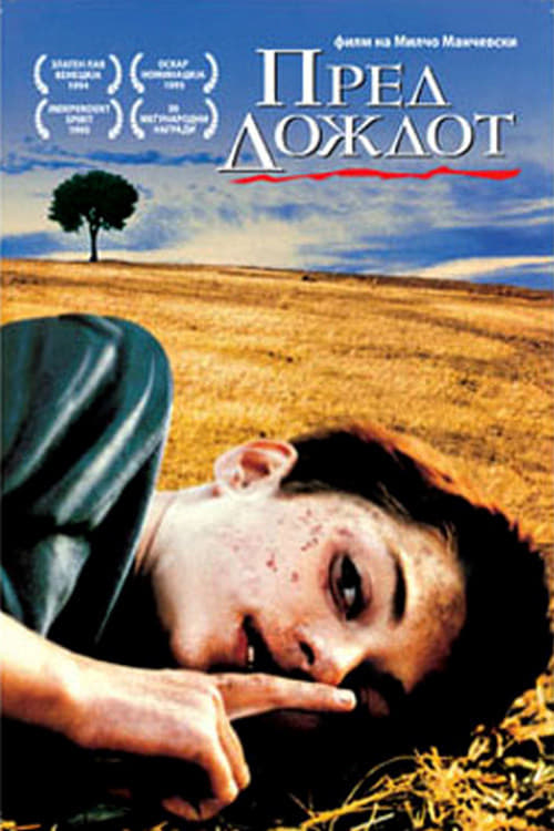 Пред дождот (1994) poster