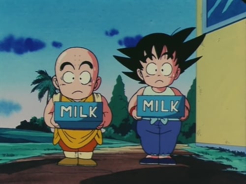 Dragon Ball: 1×17