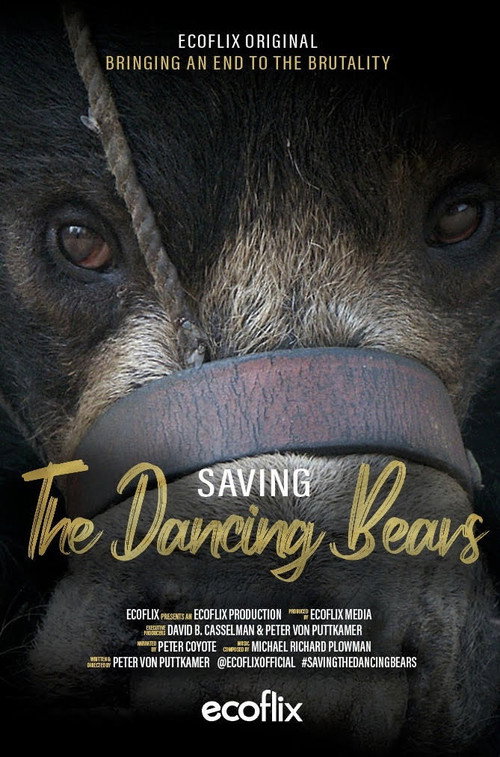 Saving the Dancing Bears