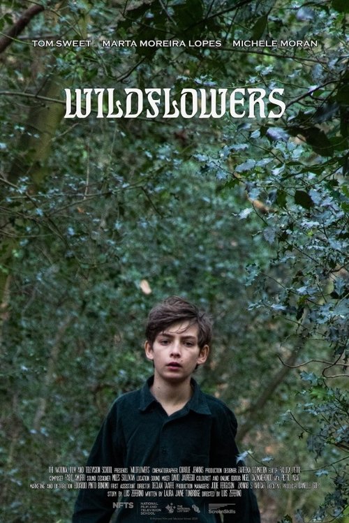 Wildflowers (2020)