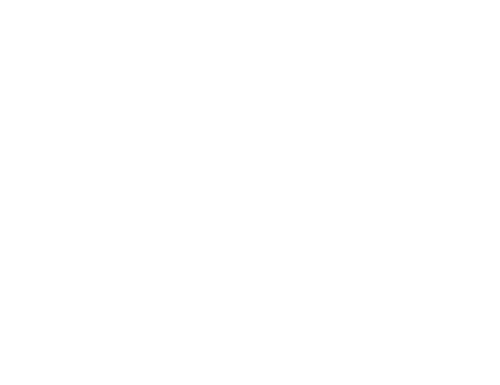 Walk With Me
