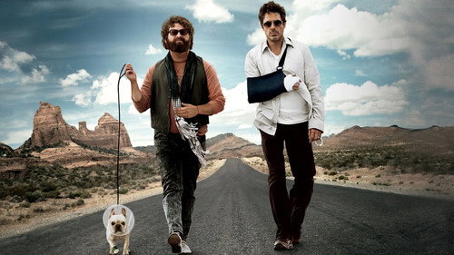 Due Date — Backdrops 24