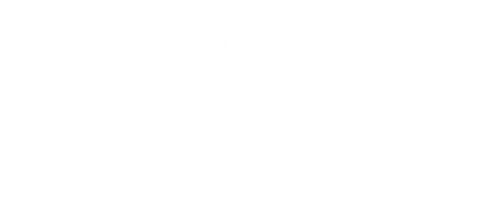 Bluey Book Reads