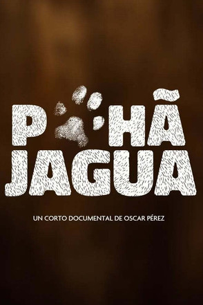 Pohã Jagua poster
