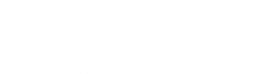 The Gunfighter